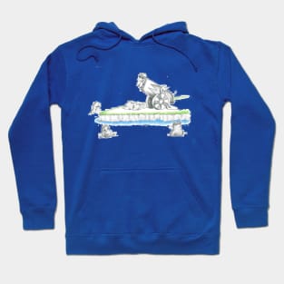 Flight of the Platypus Hoodie